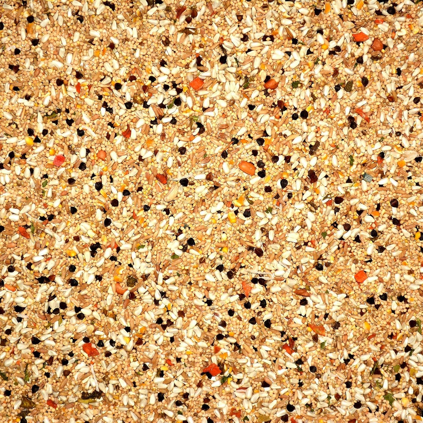 Seed Avian Science Super Cockatiel No Sunflower 4Lb