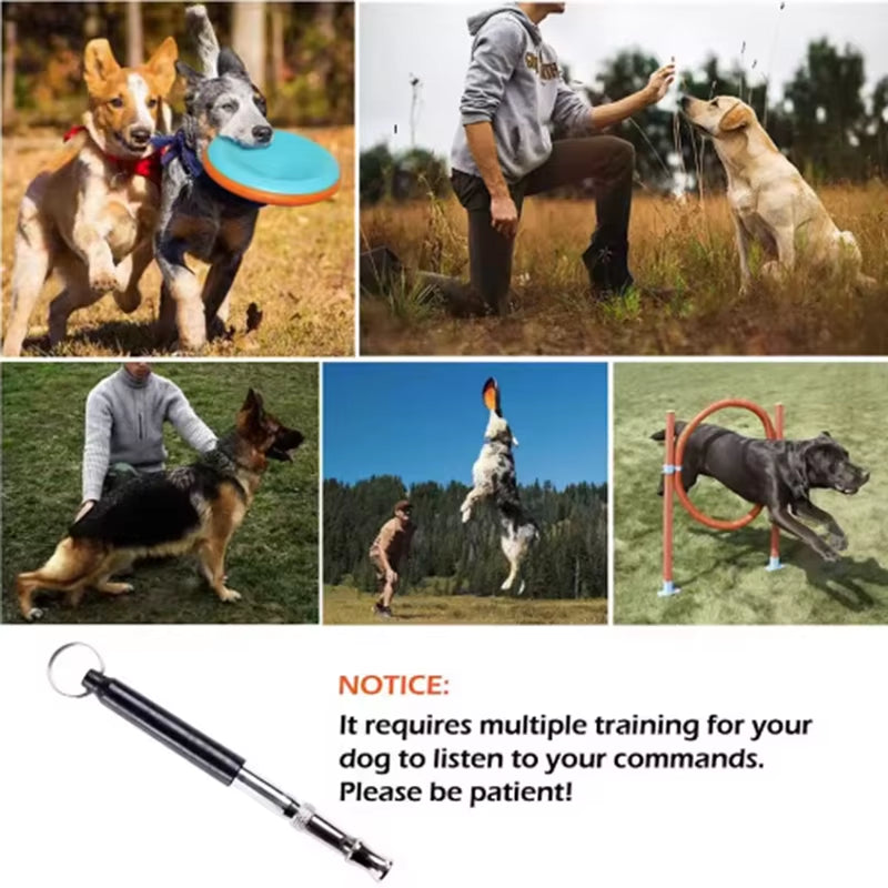 Sifflet Pour Chien Pour Arrêter D'Aboyer, Contrôle Des Aboiements, Entraînement Pour Chiens, Sifflet Dissuasion, Entraînement Ré