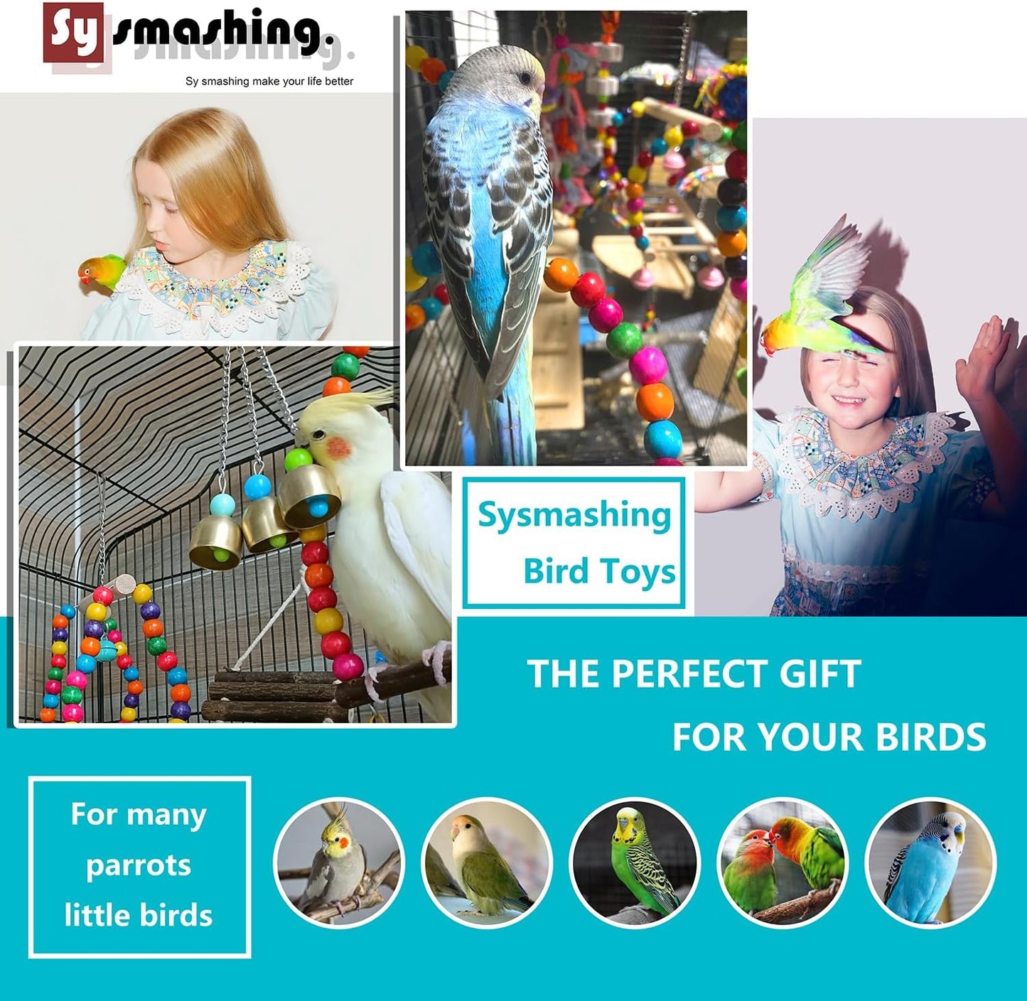 23Pcs Parakeet