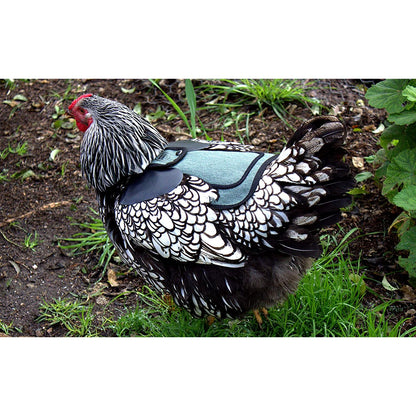 Premium Chicken Saddle, Adjustable Straps Suit Medium and Large Hens, Poultry Saver, Protector, Apron, Supplies, Products and Equipment, Including Shoulder Cover (Blue)…