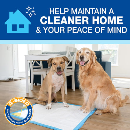 100524768 75-Count Wee-Wee Dog Training Pads, X-Large