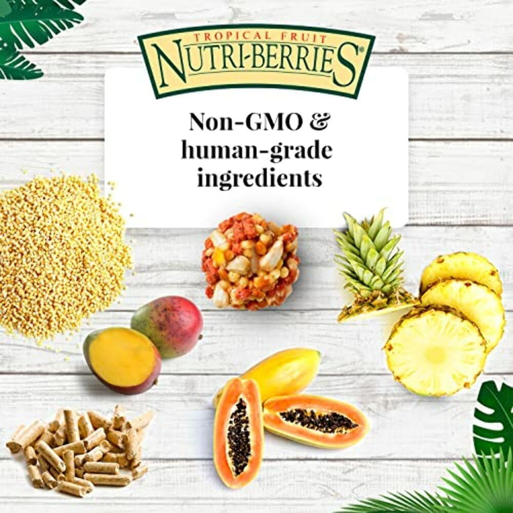 Lafeber?S Gourmet Tropical Fruit Nutri-Berries for Parrots 3 Lb. Bag