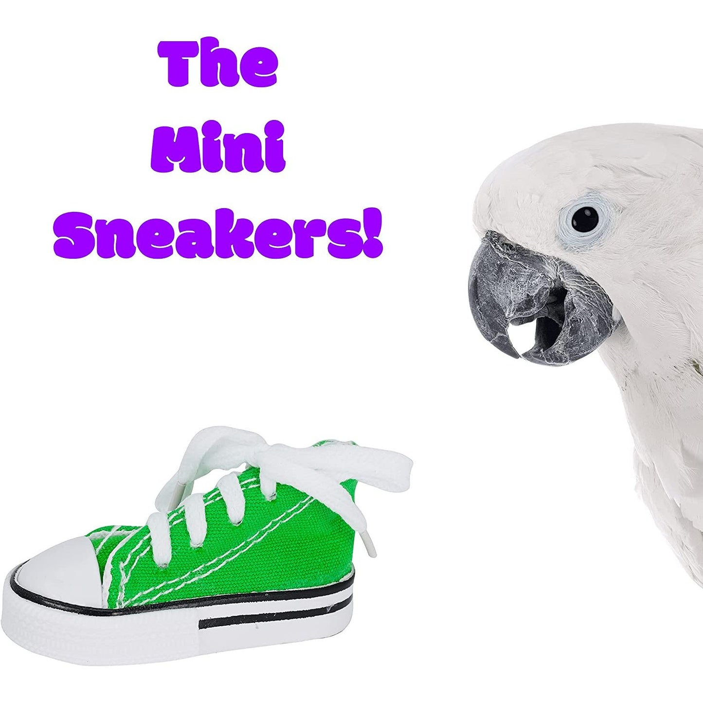6 Mini Sneaker Bird Toy Parrot Craft Cage Craft Toys Cages Small Dog,Cat Pet Cockatiel,African Grey,Cockatoo