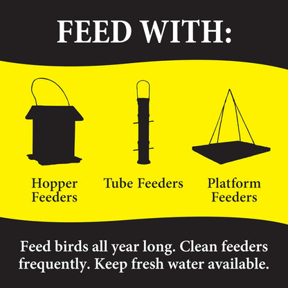 367845 Bugs N' Berries Wild Bird Food, 4.5 Lb