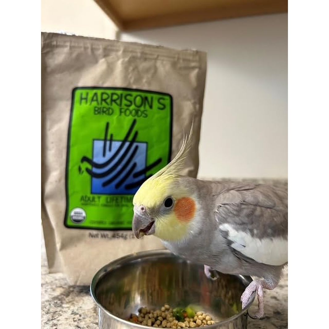 Harrison'S Adult Lifetime Fine 1Lb ...