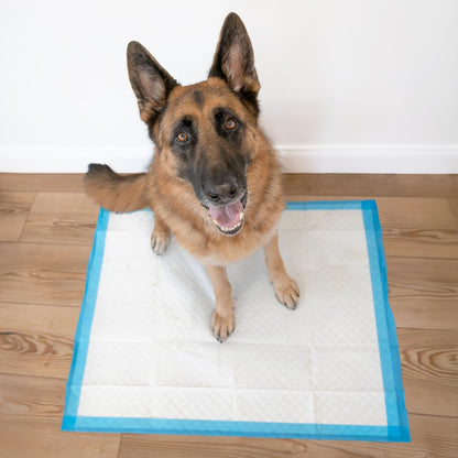100524768 75-Count Wee-Wee Dog Training Pads, X-Large