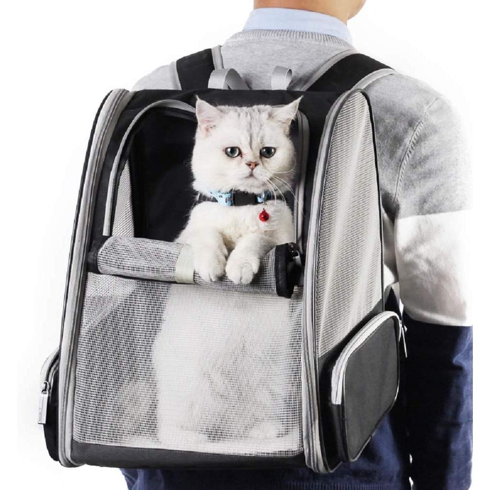 Innovative Traveler Bubble Backpack Pet Carriers for Cats and Dogs (Black)