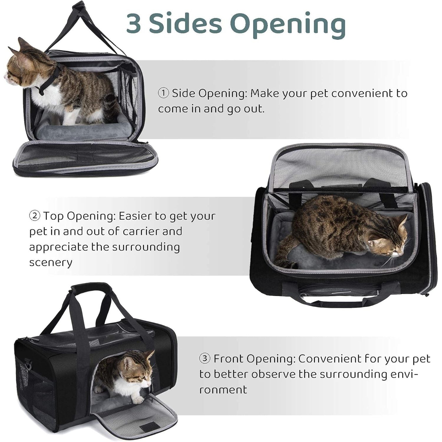 TSA Approved Pet Carrier for Small Medium Cats and Dogs | Dog Carrier with Adequate Ventilation | 4 Mesh Windows, 3 Entrance, Locking Safety Zippers, Padded Shoulder Strap, Black