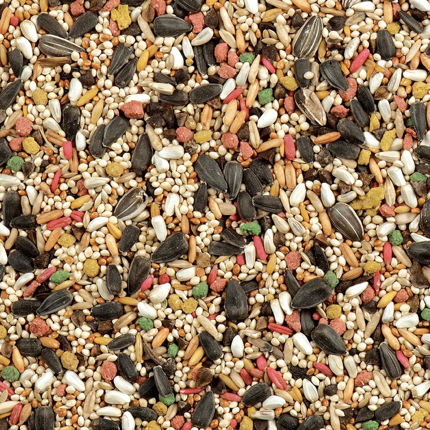 Daily Blend  Nutrition Diet, Bird Food for Cockatiels, Lovebirds and Small Hookbills, 2 Pounds