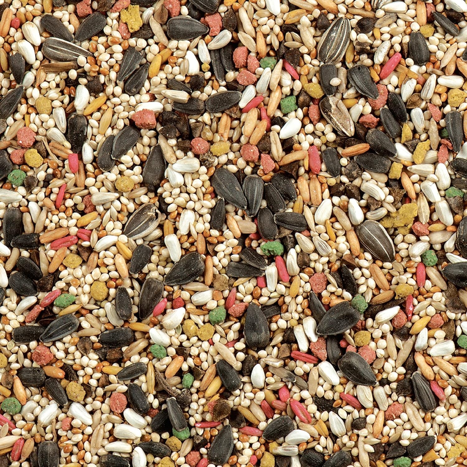 Daily Blend  Nutrition Diet, Bird Food for Cockatiels, Lovebirds and Small Hookbills, 2 Pounds