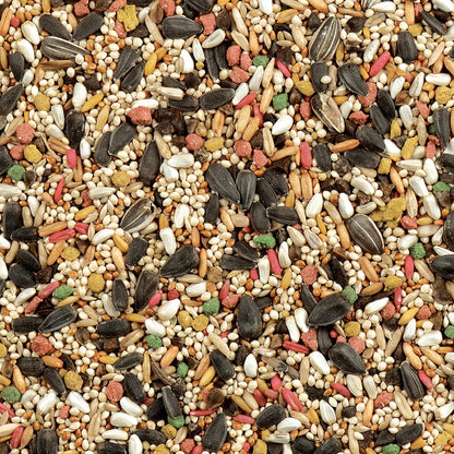 Daily Blend  Nutrition Diet, Bird Food for Cockatiels, Lovebirds and Small Hookbills, 2 Pounds