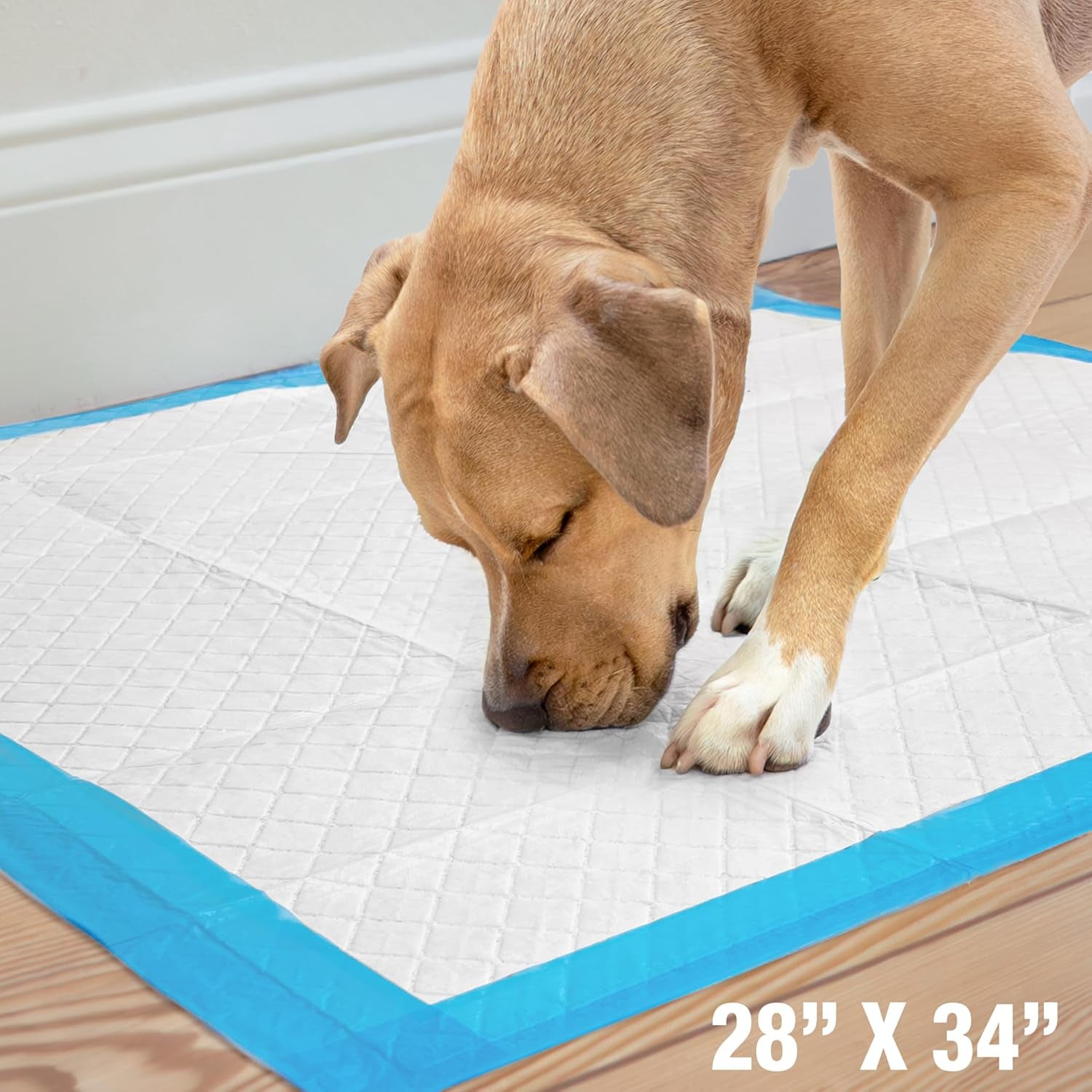 100524768 75-Count Wee-Wee Dog Training Pads, X-Large