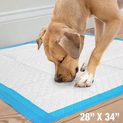 100524768 75-Count Wee-Wee Dog Training Pads, X-Large