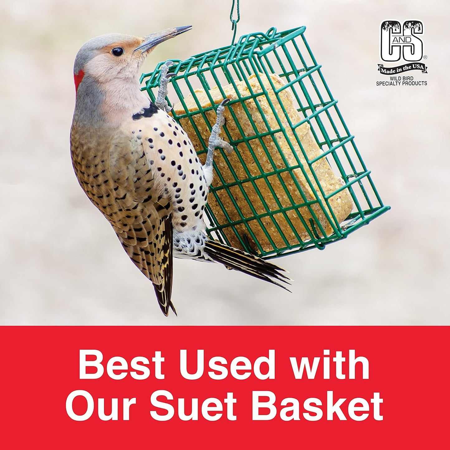 C & S Products Woodpecker Treat, 12-Piece