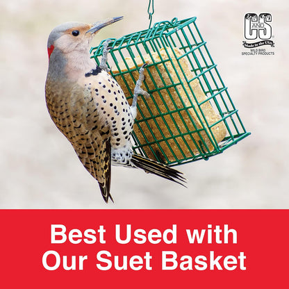 C & S Products Woodpecker Treat, 12-Piece