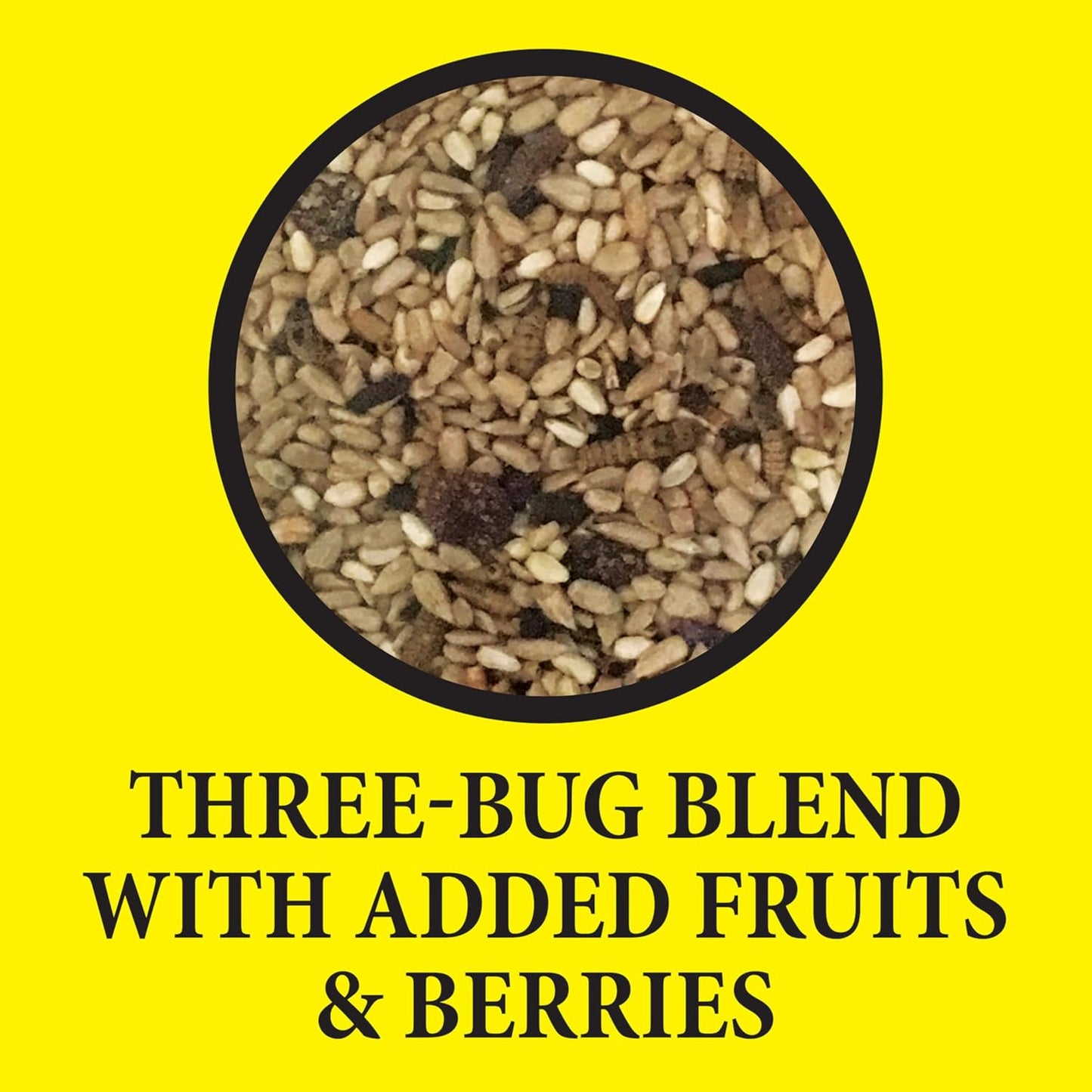 367845 Bugs N' Berries Wild Bird Food, 4.5 Lb