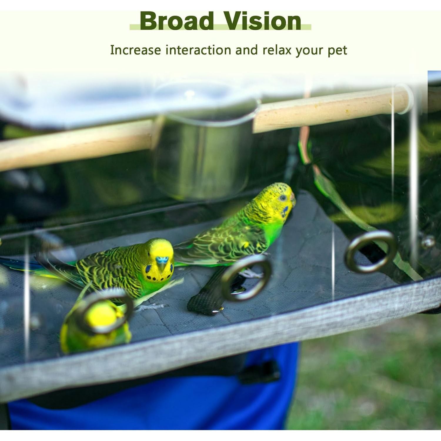 Bird Carrier Backpack, Parrots Bird Backpack with Visible Window, Adjustable Height Standing Perch, Feeding Cans, Waterproof Pads, Lightweight Foldable Birds Travel Cage for Hiking Camping