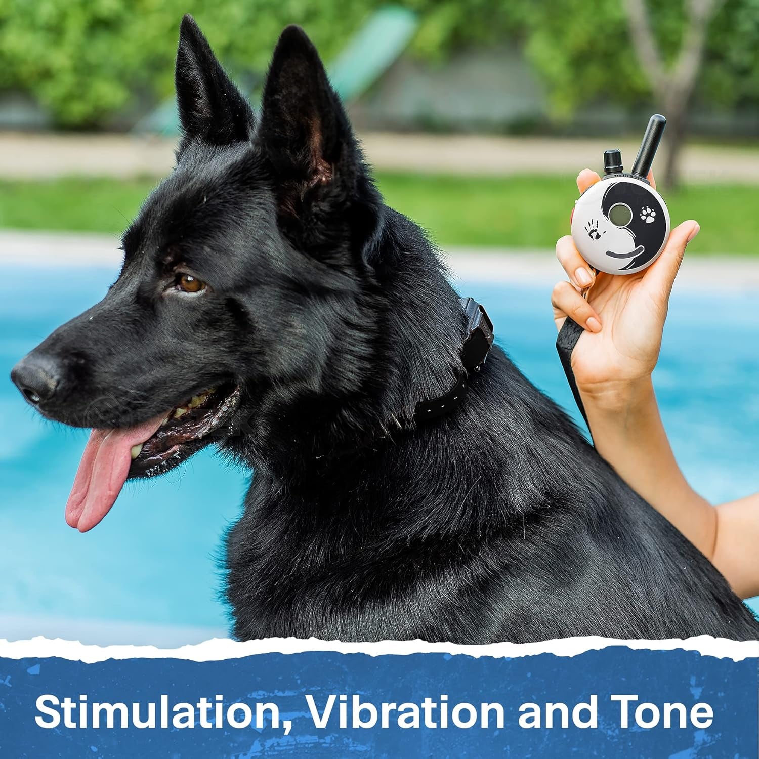 E-Collar - ET-300ZEN - 1/2 Mile Remote Waterproof Trainer Mini  - Static, Vibration and Sound Stimulation Collar with Petstek Dog Training Clicker
