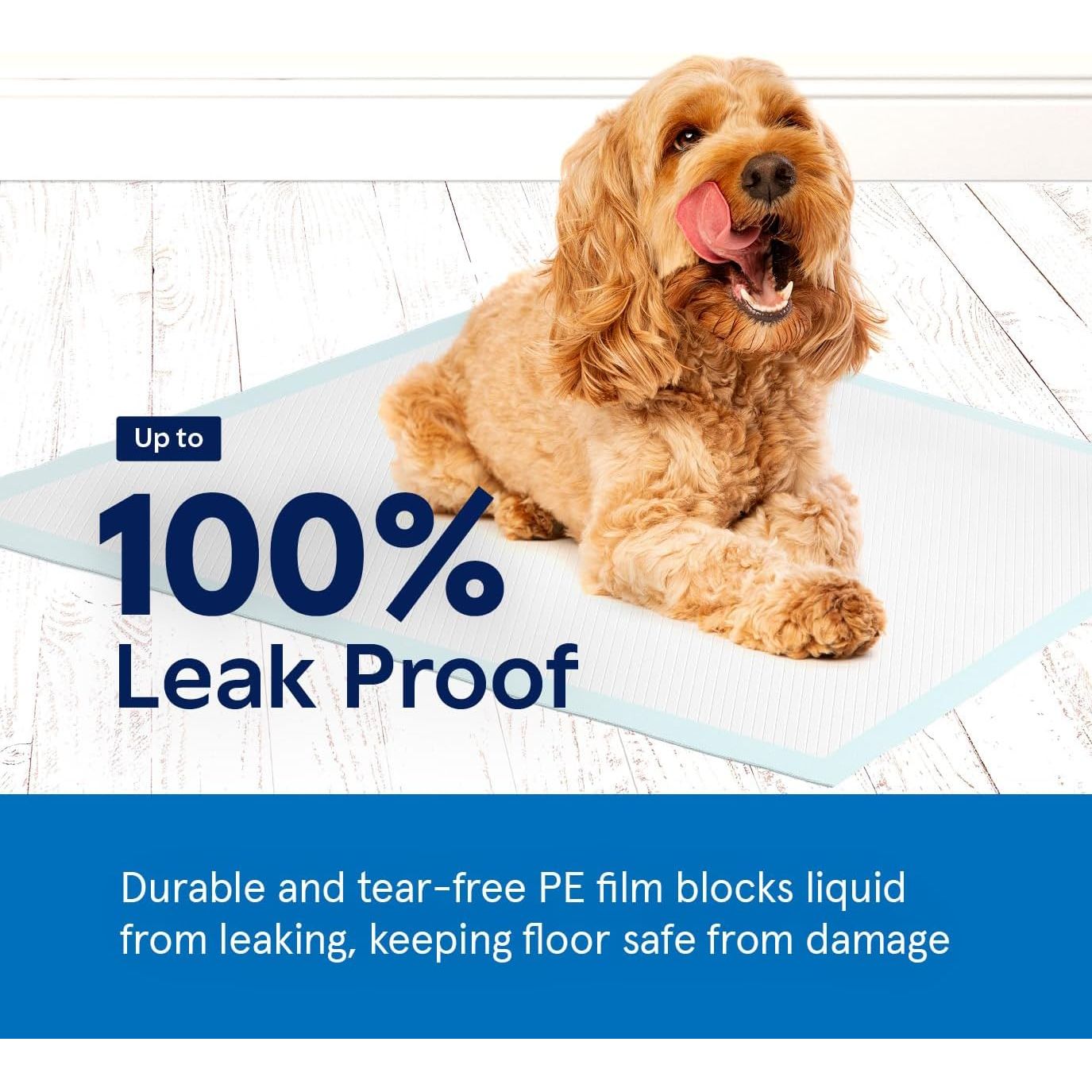 Pee Pads for Dog & Puppy Training [100-COUNT] Pet Potty Pads for Small Dogs 22" X 22" Leak-Proof Design - Quick-Dry Surface - Heavy Duty Absorbent Disposable Wee Pad - Dog & Puppy Products Bulk Pack