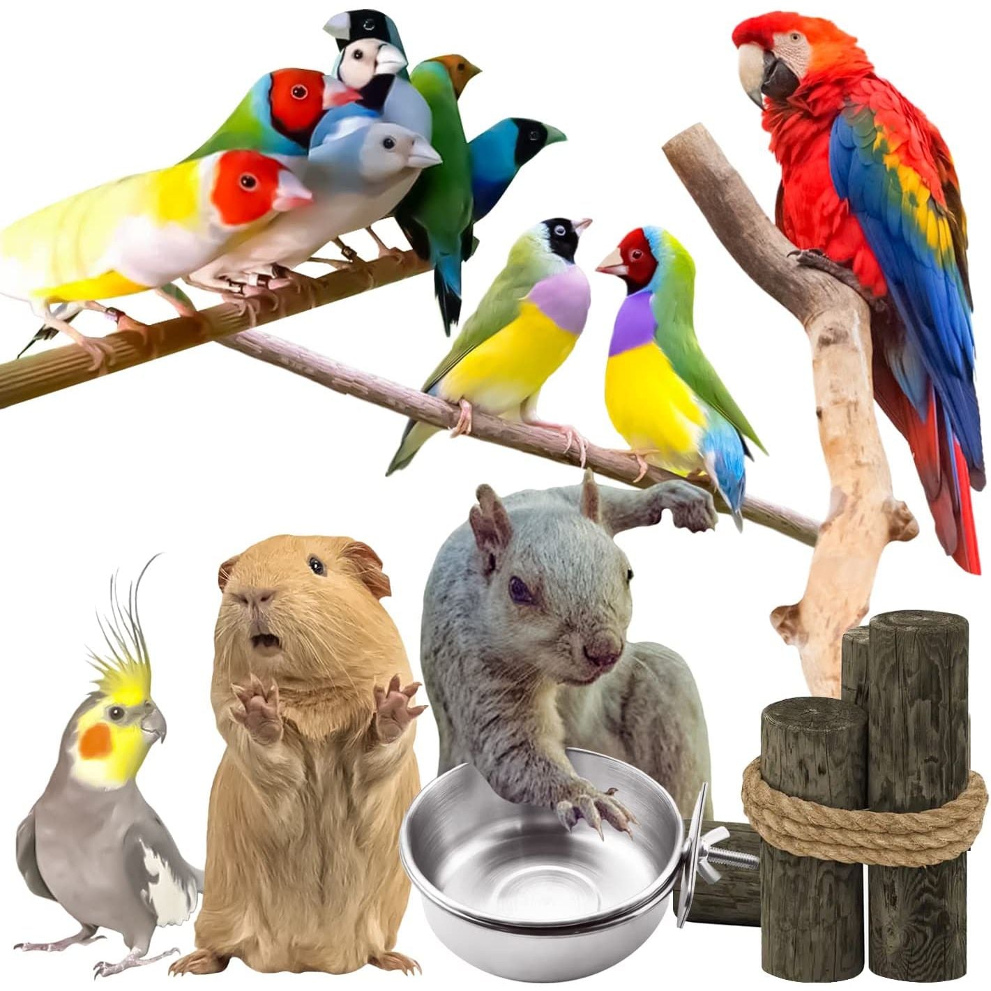 3 Pack Bird Feeding Bowls Cups Parrot Food Water Dishes, Stainless Steel Bird Bowl Cup Dish with Clamp, Birdcage Feeder Pet Cage Bowls for Cockatiel Budgie Conure Macaw Parakeet Small Animal