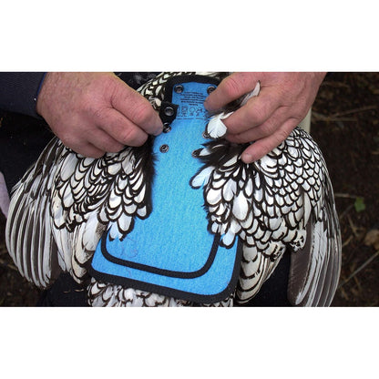 Premium Chicken Saddle, Adjustable Straps Suit Medium and Large Hens, Poultry Saver, Protector, Apron, Supplies, Products and Equipment, Including Shoulder Cover (Blue)…