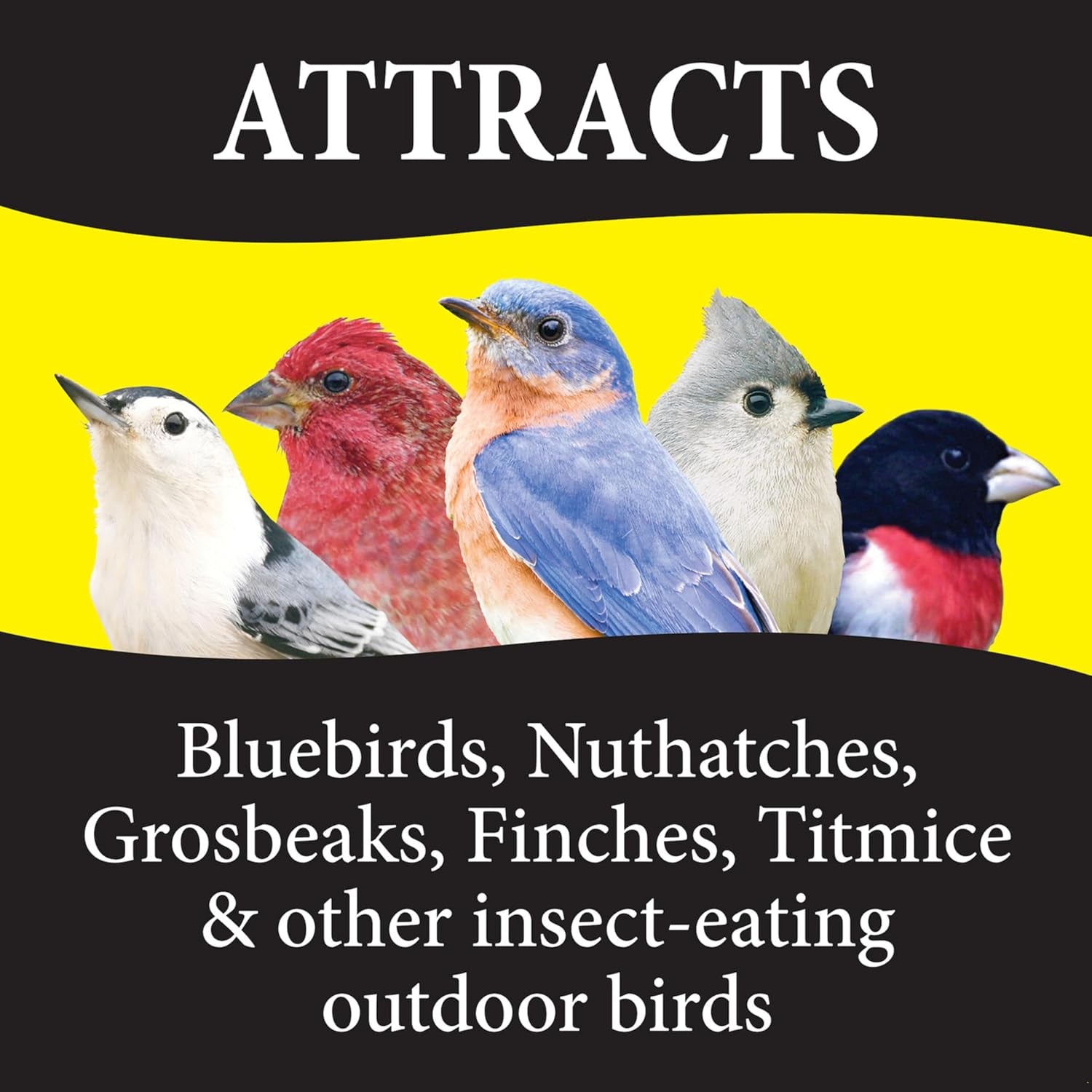 367845 Bugs N' Berries Wild Bird Food, 4.5 Lb